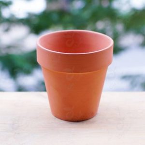 Chau gom dat nung nau 2 510x510 (1)